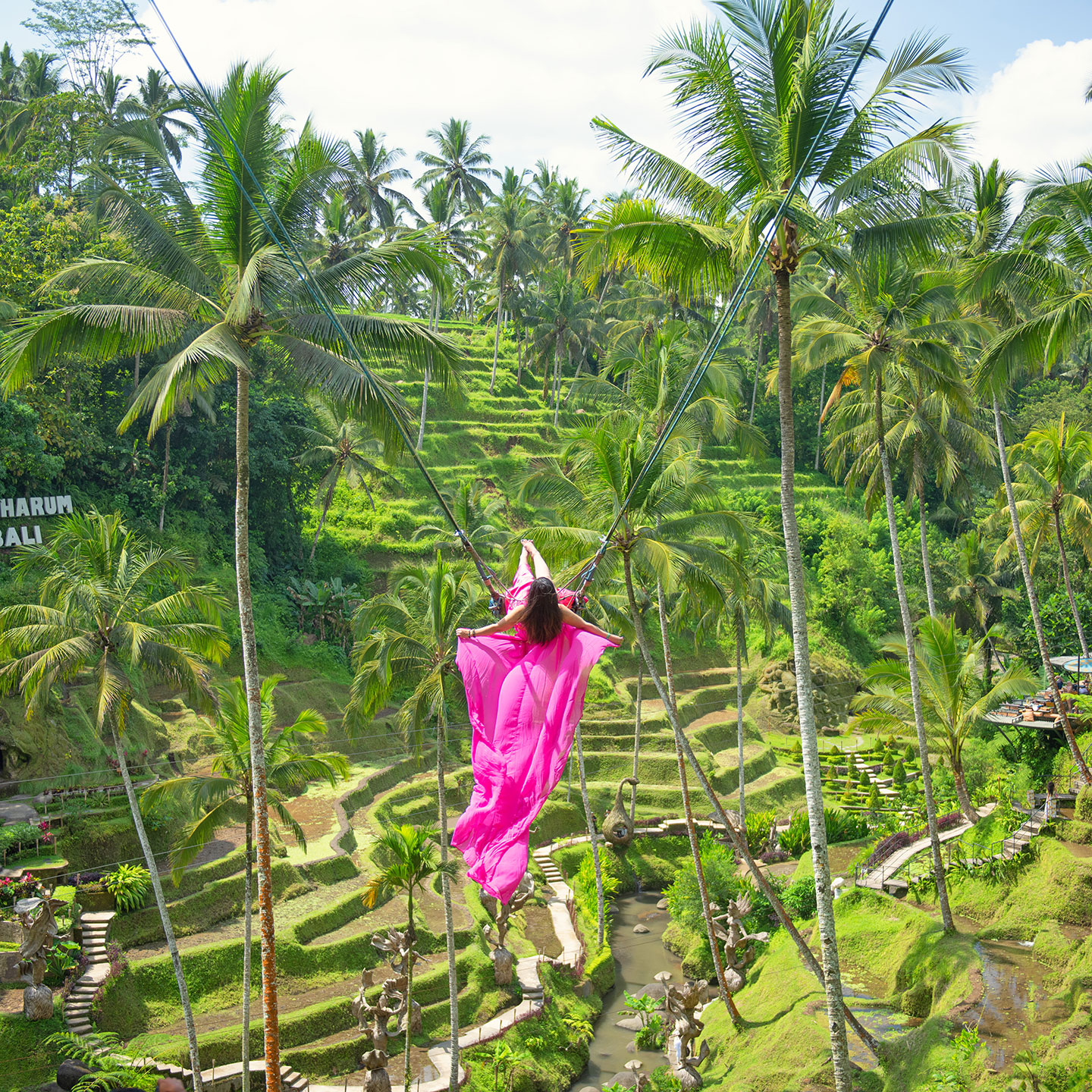 Tegalalang jungle swing