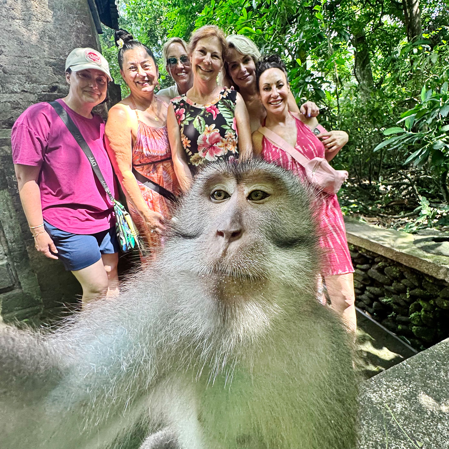 Sacred Monkey Forest